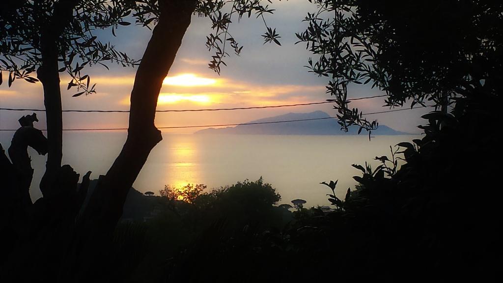 Villa Talea SantʼAgata sui Due Golfi Kültér fotó